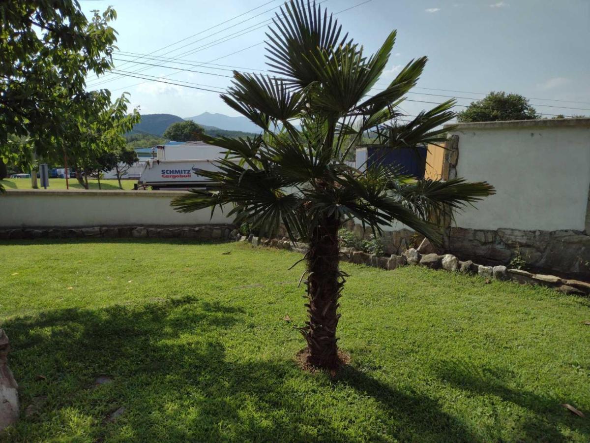 גבגלייה Shale Apartments And Rooms מראה חיצוני תמונה