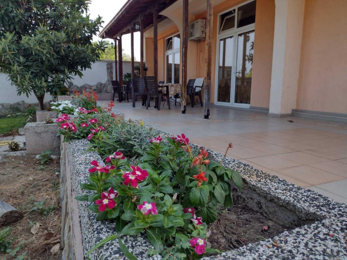 גבגלייה Shale Apartments And Rooms מראה חיצוני תמונה
